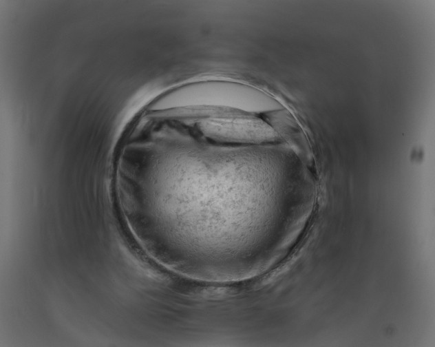 X0000090890152200708242009