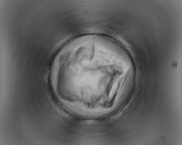 X0000090890153200708242009