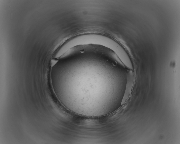 X0000090890154200708242009