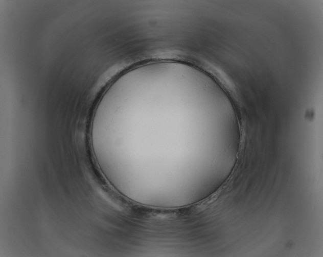 X0000090890155200708242009