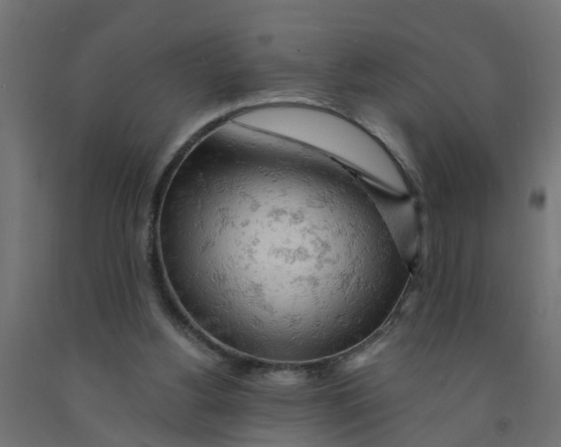 X0000090890156200708242009