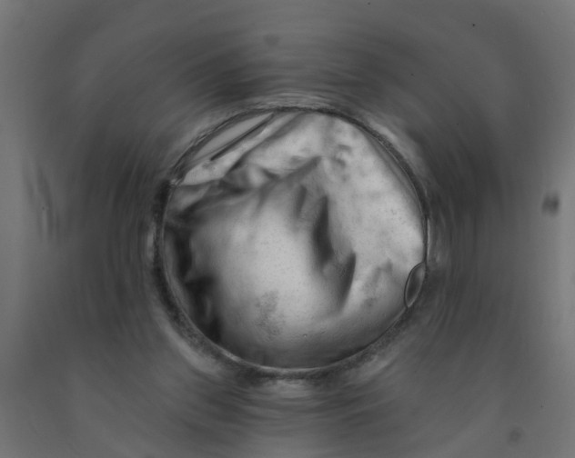 X0000090890157200708242009