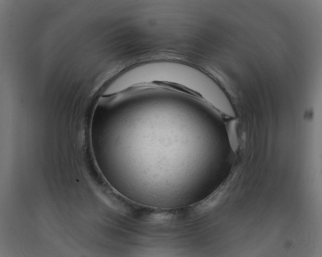 X0000090890158200708242009