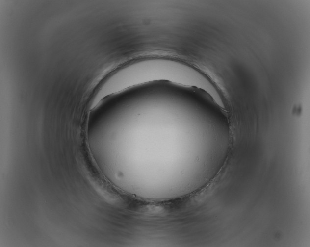 X0000090890159200708242009