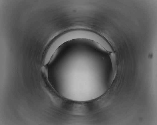 X0000090890160200708242009