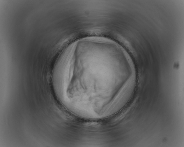 X0000090890161200708242009