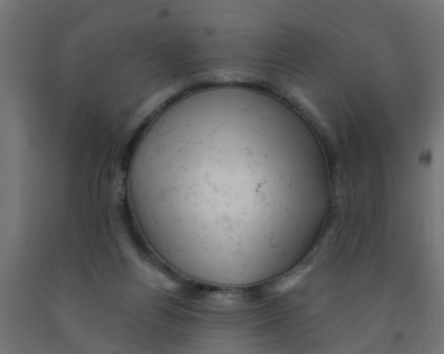 X0000090890164200708242009