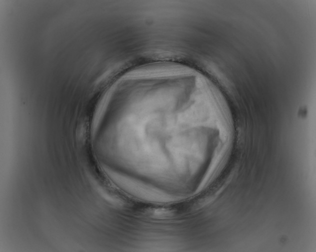 X0000090890165200708242009