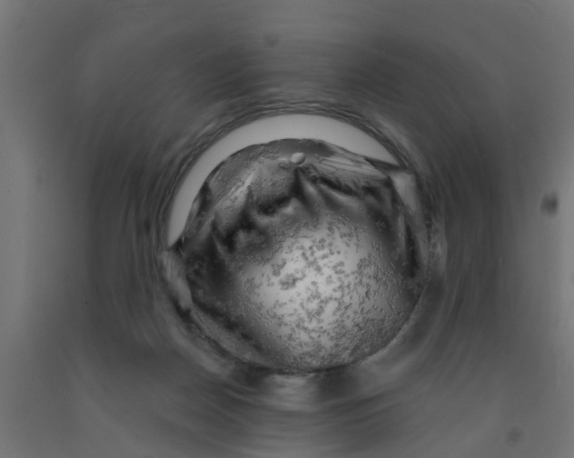 X0000090890170200708242009