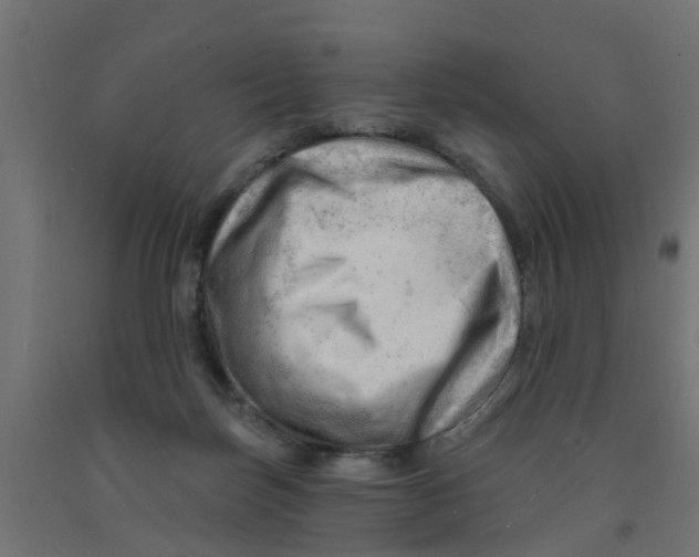 X0000090890171200708242009