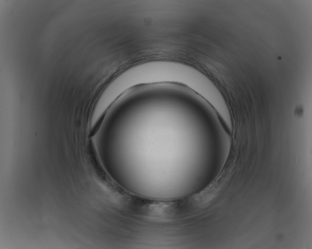 X0000090890172200708242009