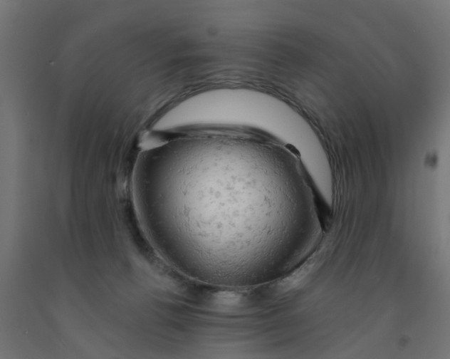 X0000090890176200708242009