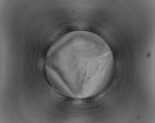 X0000090890177200708242009