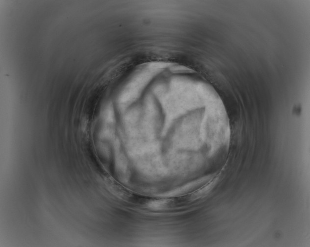 X0000090890178200708242009