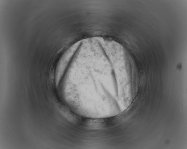 X0000090890179200708242009