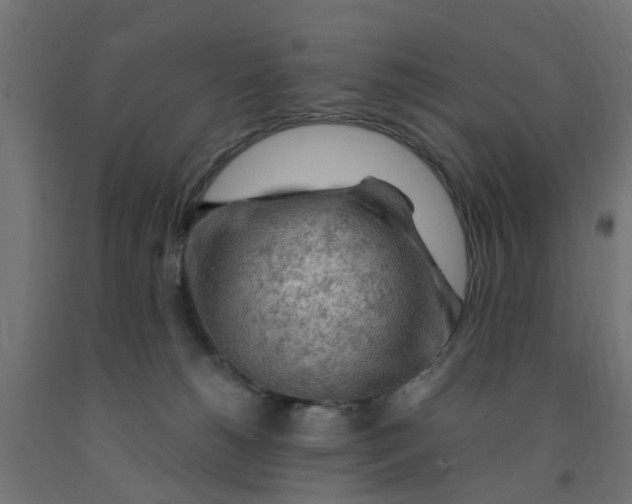 X0000090890180200708242009