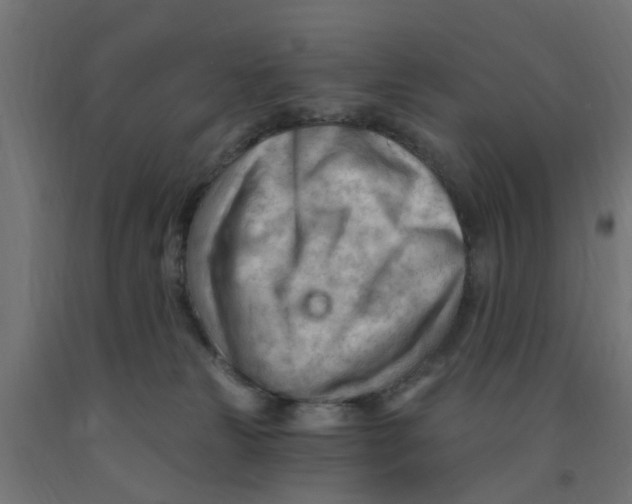 X0000090890181200708242009