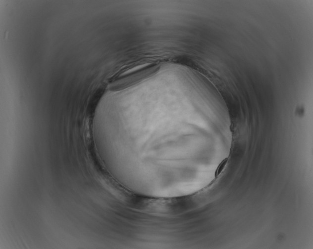 X0000090890182200708242009