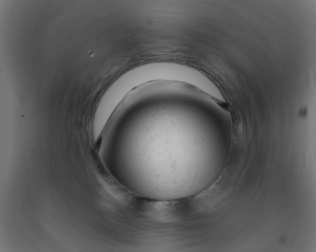 X0000090890184200708242009