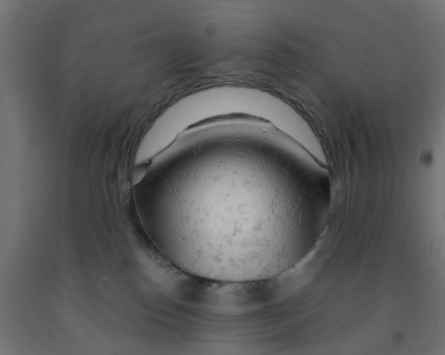 X0000090890186200708242009