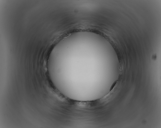 X0000090890187200708242009