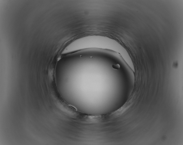 X0000090890188200708242009