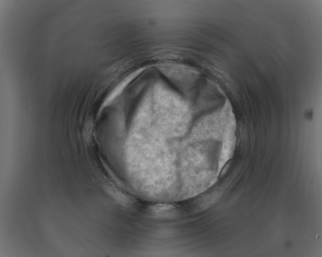 X0000090890189200708242009