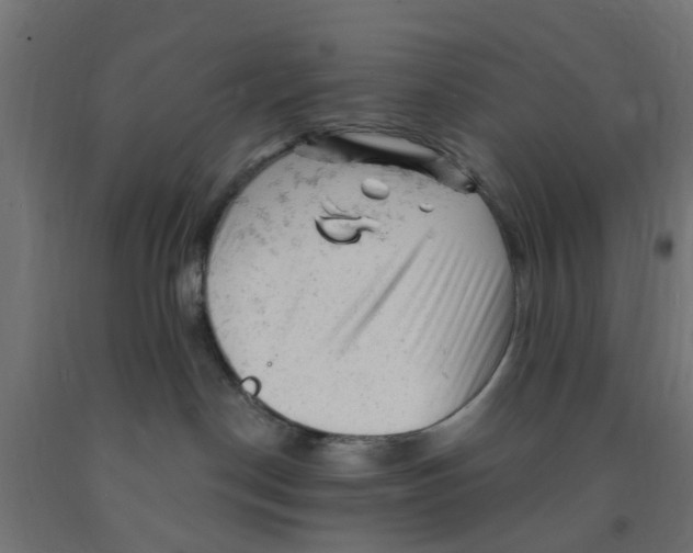 X0000090890190200708242010