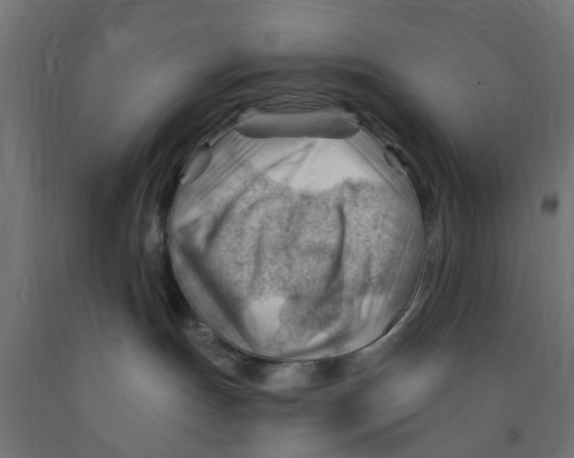 X0000090890191200708242010