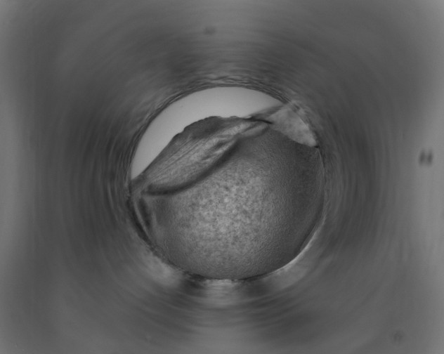 X0000090890192200708242010