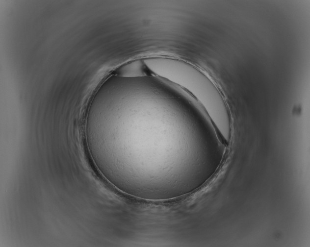 X0000090890193200708242009