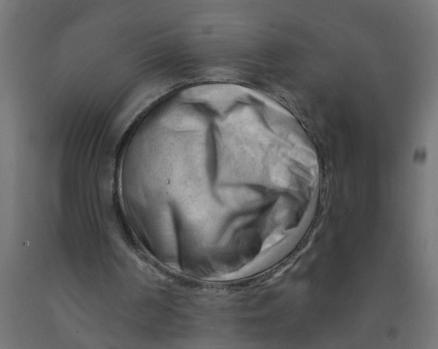 X0000090890194200708242009