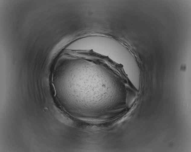 X0000090890197200708242009