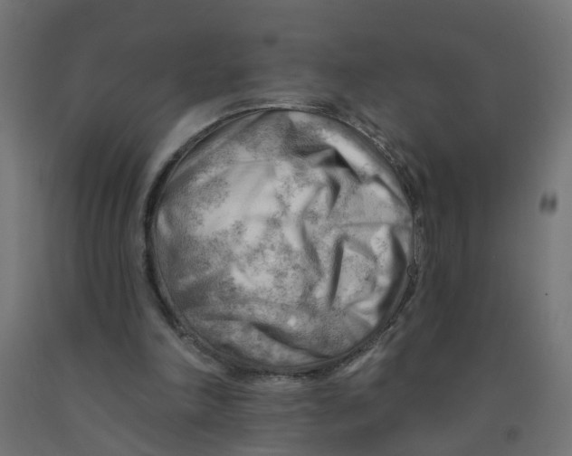 X0000090890198200708242009