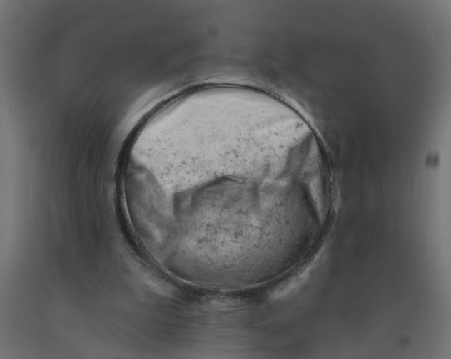 X0000090890199200708242009