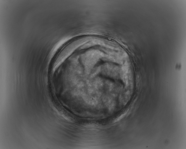 X0000090890200200708242009