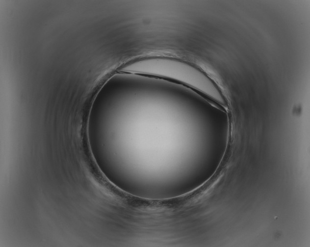 X0000090890201200708242009