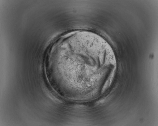 X0000090890203200708242009