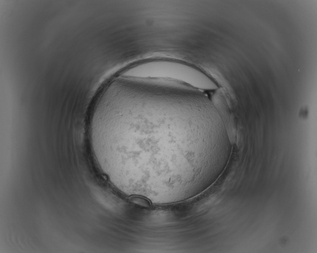 X0000090890204200708242009