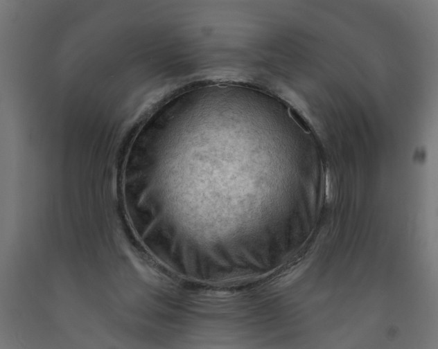 X0000090890205200708242009