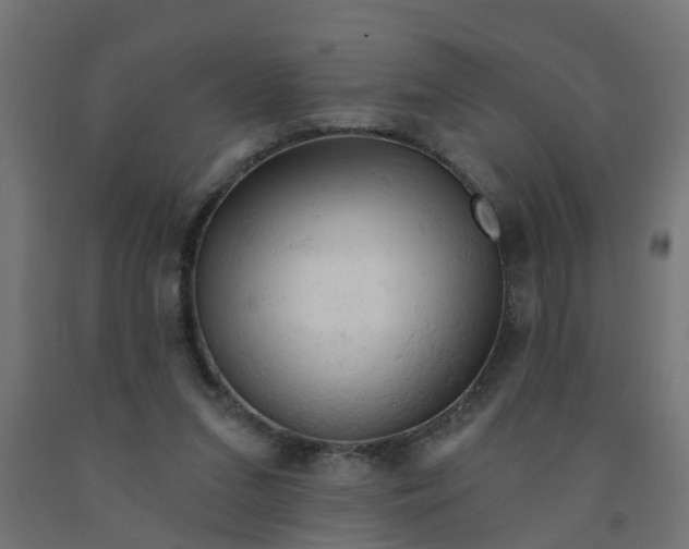 X0000090890207200708242009