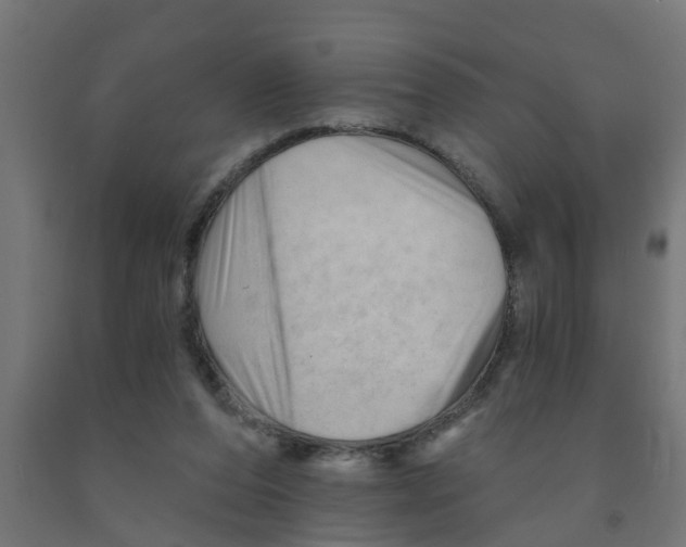 X0000090890208200708242009