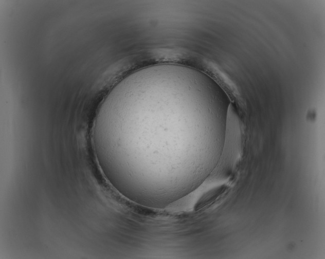 X0000090890209200708242009