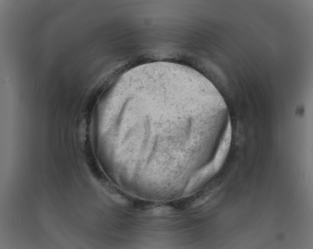 X0000090890210200708242009