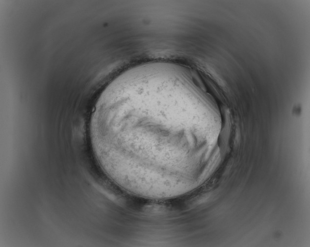 X0000090890211200708242009