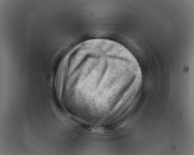 X0000090890214200708242009