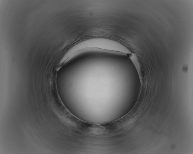 X0000090890215200708242009