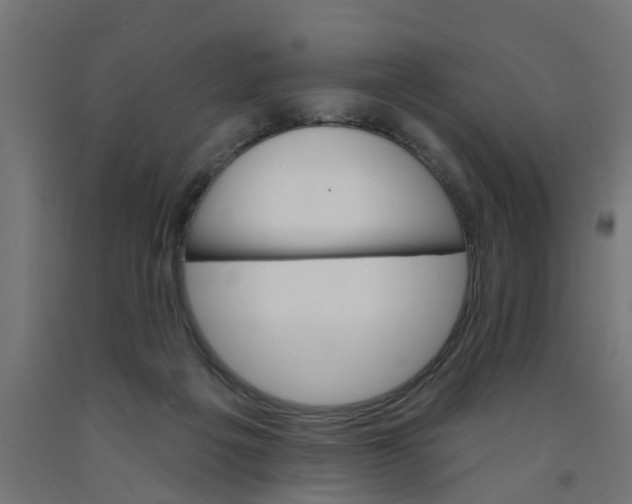 X0000090890217200708242009