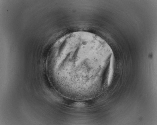 X0000090890218200708242009