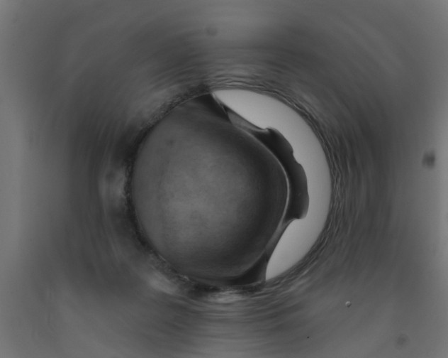 X0000090890219200708242009